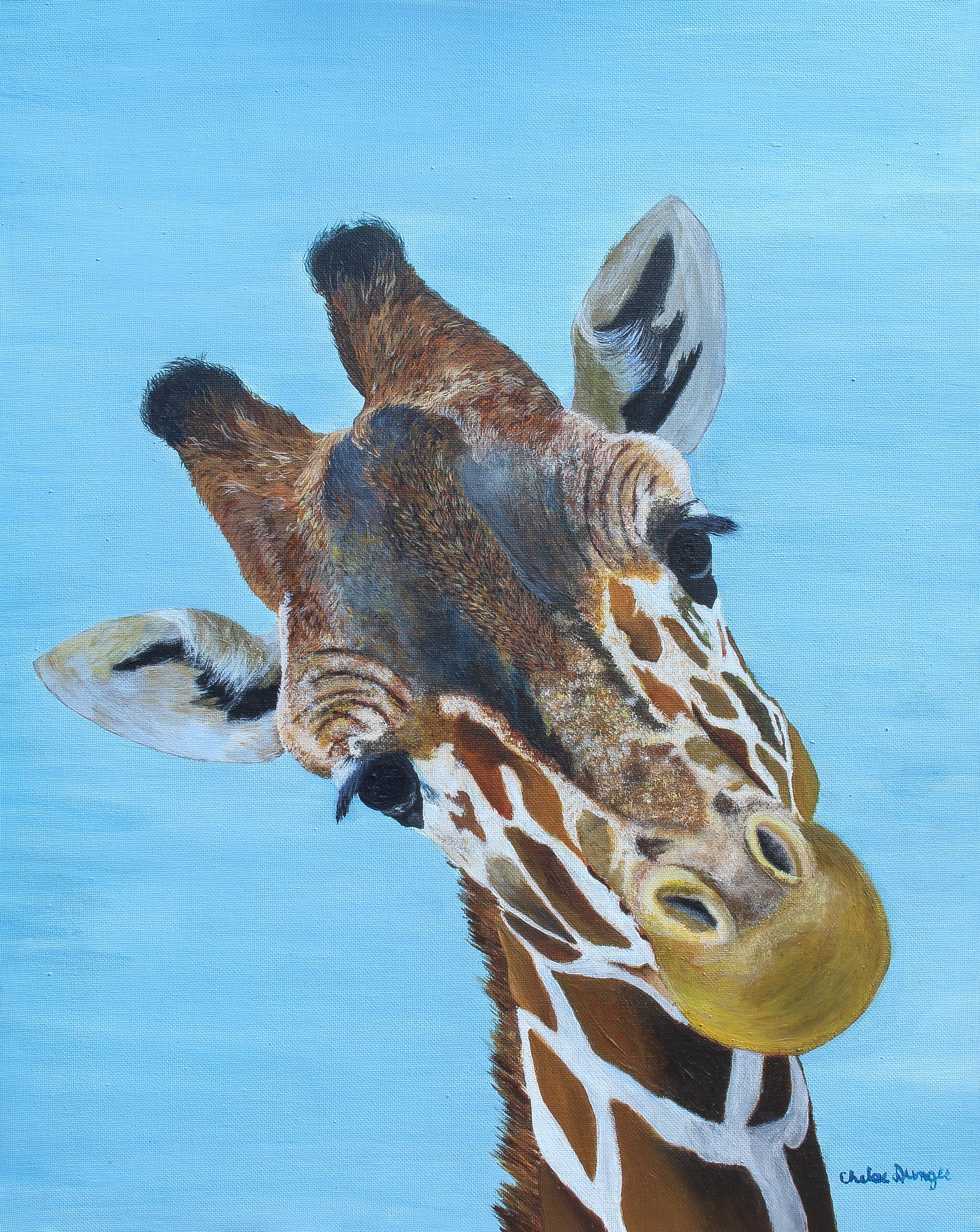 Giraffe - Fine Art Print